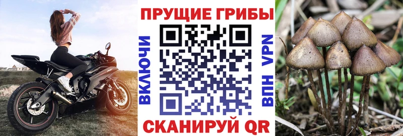 Галлюциногенные грибы мухоморы  Купить  Дербент 